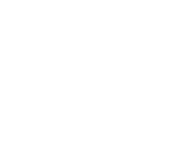 logo light